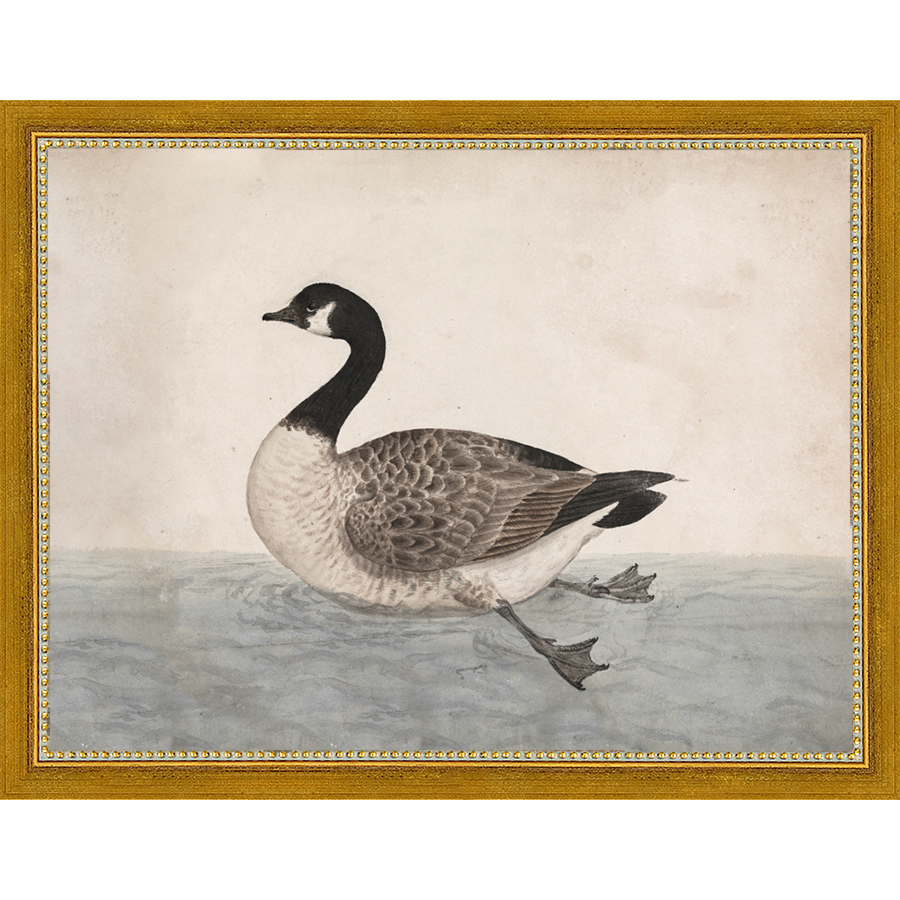 VINTAGE GOOSE - Kings Fine Art & Decor