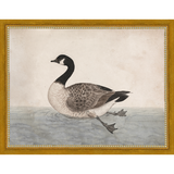 VINTAGE GOOSE - Kings Fine Art & Decor