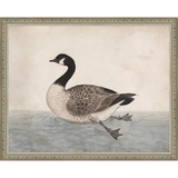 VINTAGE GOOSE - Kings Fine Art & Decor