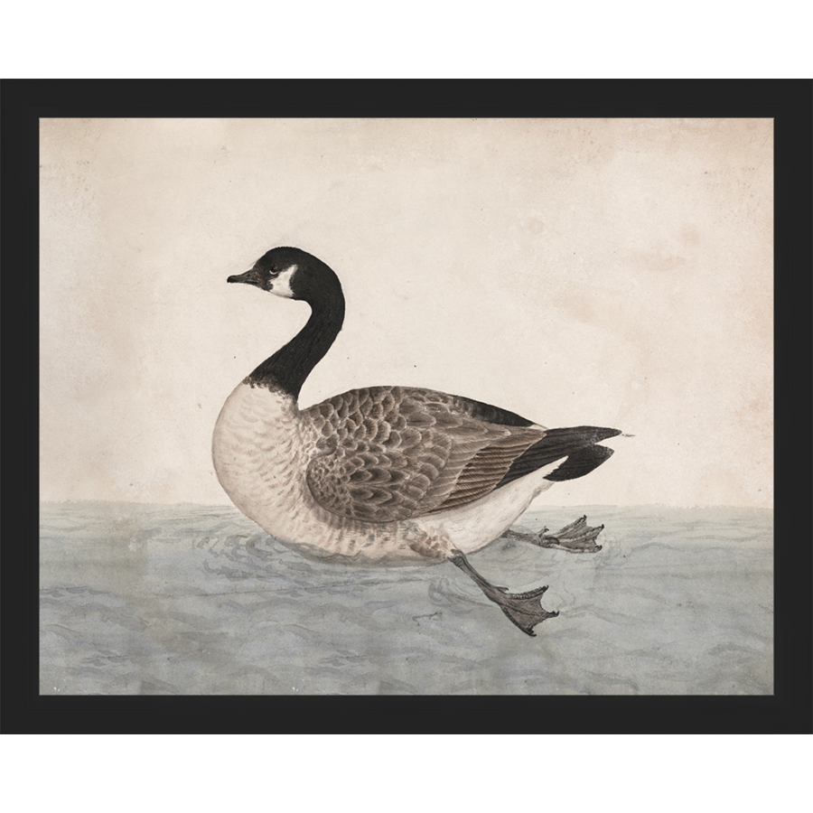 SA009-VINTAGE GOOSE Hand framed in a matte black frame. Finished Size: W 15.25 in x H 12.25 in