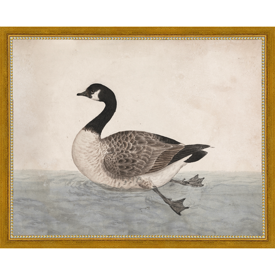 SA009-VINTAGE GOOSE Hand framed in a transitional gold frame. Finished Size: W 15.25 in x H 12.25 in