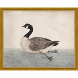 SA009-VINTAGE GOOSE Hand framed in a transitional gold frame. Finished Size: W 15.25 in x H 12.25 in