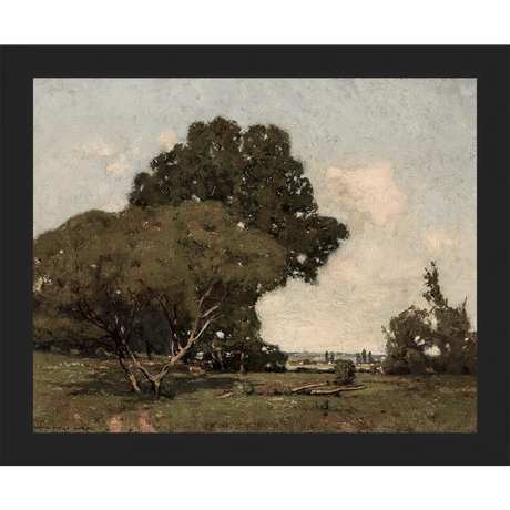 TREES - Kings Fine Art & Decor