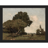 TREES - Kings Fine Art & Decor