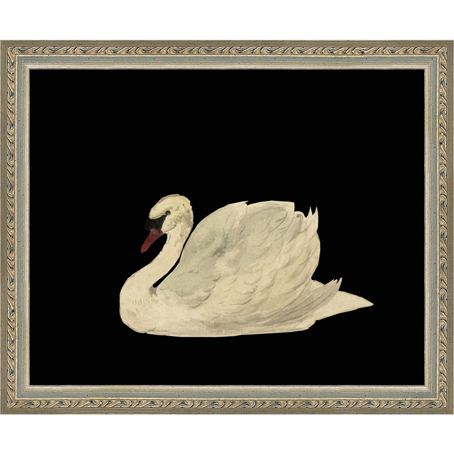 SA026-SWAN ON BLACK FIELD Hand framed in an ornate dark silver frame. Finished Size: W 11.25 in x H 9.25 in