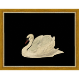 SA026-SWAN ON BLACK FIELD Hand framed in a transitional gold frame. Finished Size: W 13.25 in x H 10.25 in