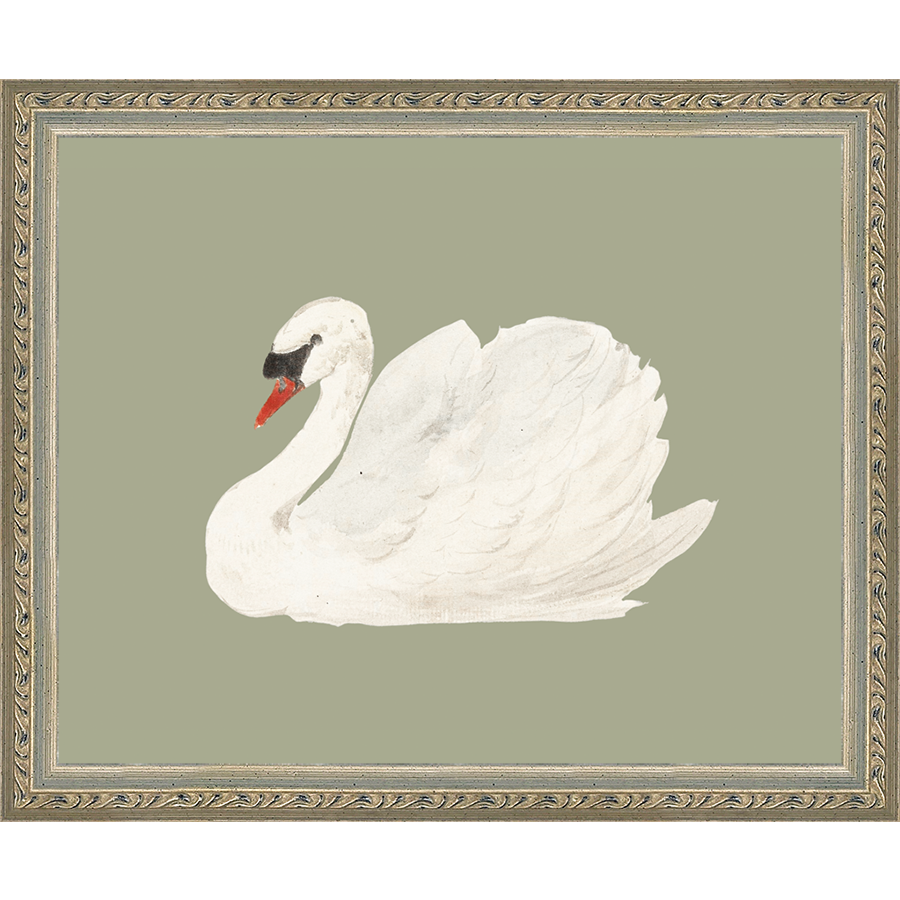 SA045-SWAN ON CELADON FIELD Hand framed in an ornate dark silver frame. Finished Size: W 11.25 in x H 9.25 in