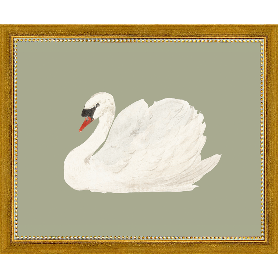 SA045-SWAN ON CELADON FIELD Hand framed in a transitional gold frame. Finished Size: W 11.25 in x H 9.25 in