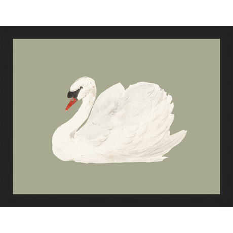 SWAN ON CELADON FIELD - Kings Fine Art & Decor
