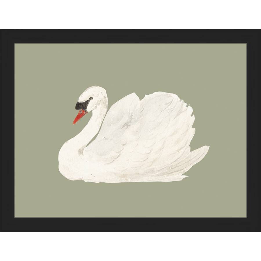 SA045-SWAN ON CELADON FIELD Hand framed in a matte black frame. Finished Size: W 13.25 in x H 10.25 in