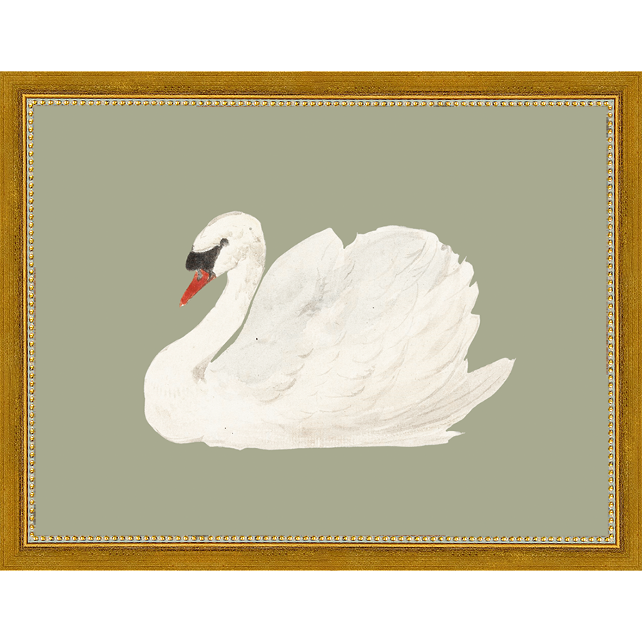 SA045-SWAN ON CELADON FIELD Hand framed in a transitional gold frame. Finished Size: W 13.25 in x H 10.25 in