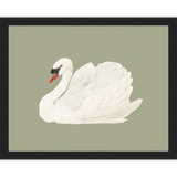 SA045-SWAN ON CELADON FIELD Hand framed in a matte black frame. Finished Size: W 15.25 in x H 12.25 in