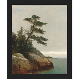 SA056-LONELY PINE Hand framed in a matte black frame. Finished Size: W 9.25 in x H 11.25 in