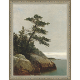 LONELY PINE - Kings Fine Art & Decor