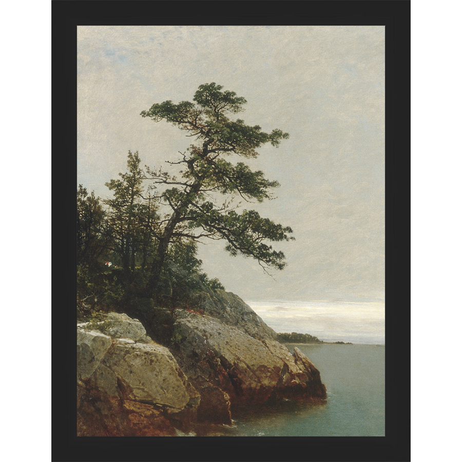LONELY PINE - Kings Fine Art & Decor