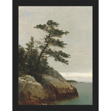 LONELY PINE - Kings Fine Art & Decor
