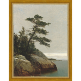 LONELY PINE - Kings Fine Art & Decor