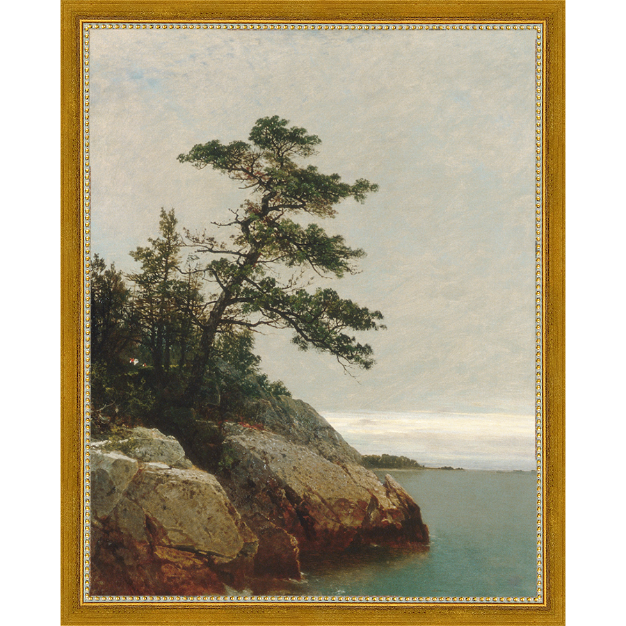 LONELY PINE - Kings Fine Art & Decor