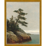SA056-LONELY PINE Hand framed in a transitional gold frame. Finished Size: W 12.25 in x H 15.25 in