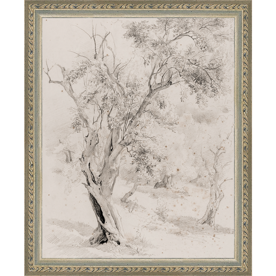 VINTAGE OLIVE TREE - Kings Fine Art & Decor