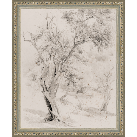 VINTAGE OLIVE TREE - Kings Fine Art & Decor