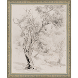 SA061-VINTAGE OLIVE TREE Hand framed in an ornate dark silver frame. Finished Size: W 9.25 in x H 11.25 in
