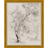 SA061-VINTAGE OLIVE TREE Hand framed in a transitional gold frame. Finished Size: W 9.25 in x H 11.25 in