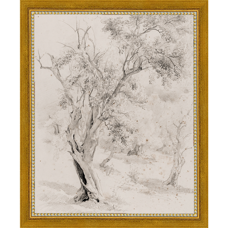 SA061-VINTAGE OLIVE TREE Hand framed in a transitional gold frame. Finished Size: W 9.25 in x H 11.25 in