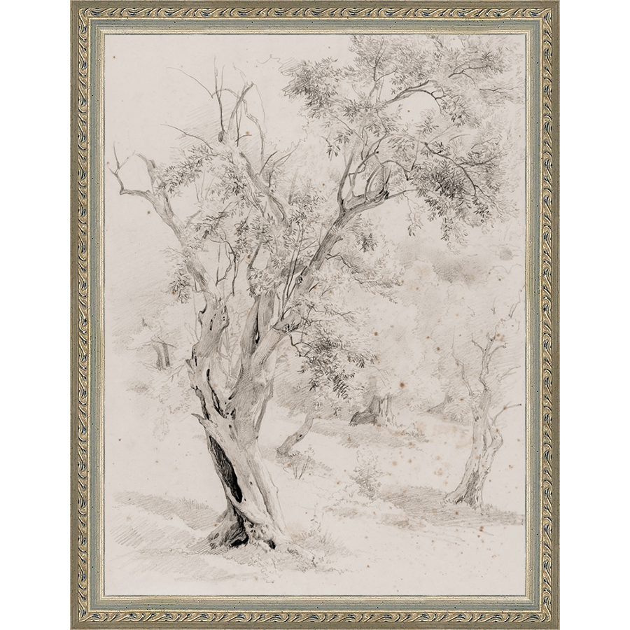 SA061-VINTAGE OLIVE TREE Hand framed in an ornate dark silver frame. Finished Size: W 10.25 in x H 13.25 in