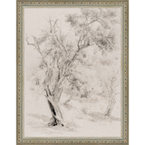 SA061-VINTAGE OLIVE TREE Hand framed in an ornate dark silver frame. Finished Size: W 10.25 in x H 13.25 in