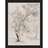 SA061-VINTAGE OLIVE TREE Hand framed in a matte black frame. Finished Size: W 10.25 in x H 13.25 in