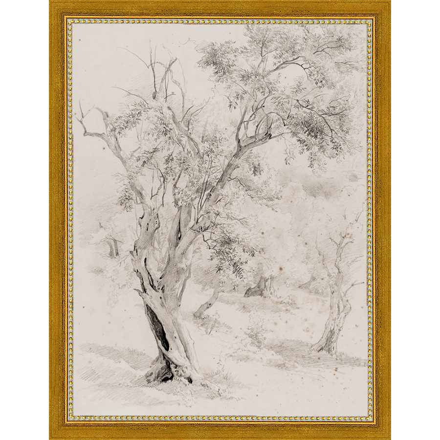 SA061-VINTAGE OLIVE TREE Hand framed in a transitional gold frame. Finished Size: W 10.25 in x H 13.25 in