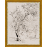 VINTAGE OLIVE TREE - Kings Fine Art & Decor