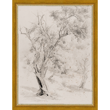VINTAGE OLIVE TREE - Kings Fine Art & Decor