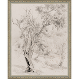 VINTAGE OLIVE TREE - Kings Fine Art & Decor