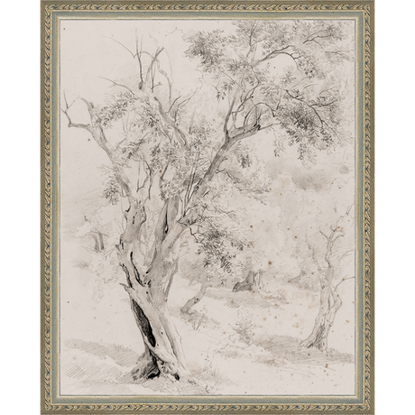 VINTAGE OLIVE TREE - Kings Fine Art & Decor