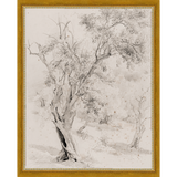 SA061-VINTAGE OLIVE TREE Hand framed in a transitional gold frame. Finished Size: W 12.25 in x H 15.25 in
