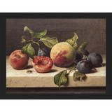 SA074-FRUIT STILL LIFE Hand framed in a matte black frame. Finished Size: W 13.25 in x H 10.25 in