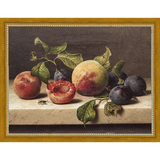 FRUIT STILL LIFE - Kings Fine Art & Decor