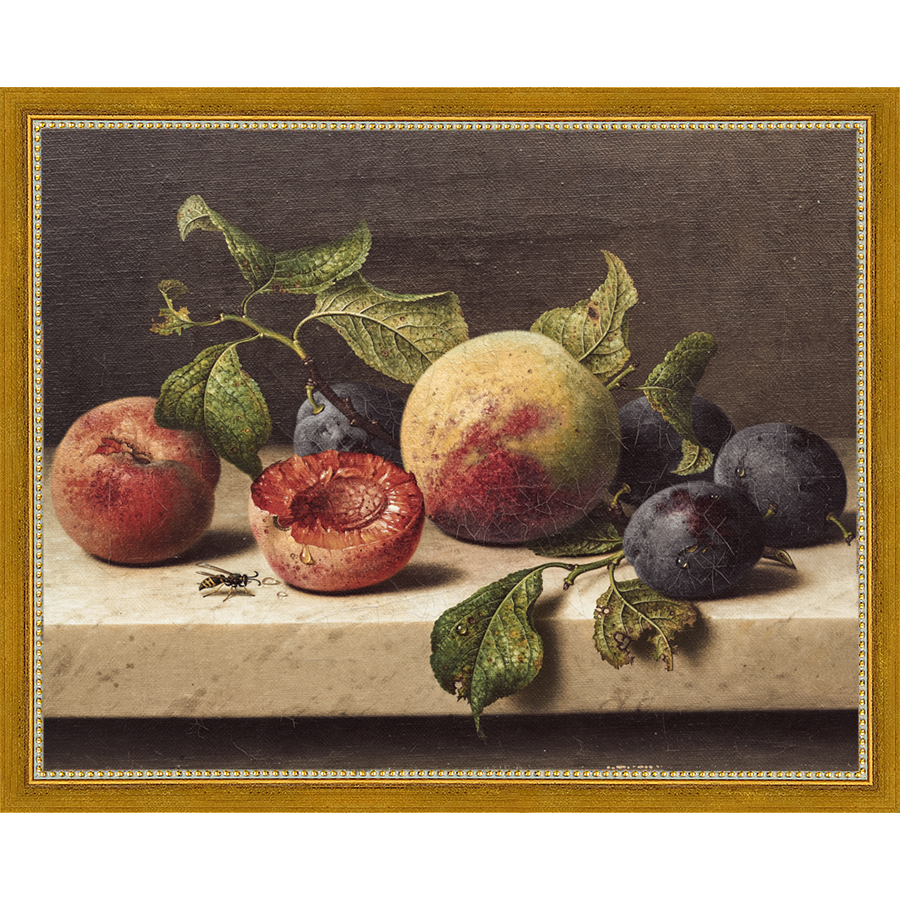 FRUIT STILL LIFE - Kings Fine Art & Decor