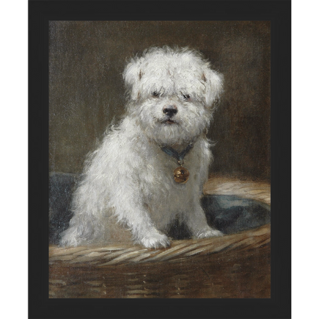 WHITE PUPPY - Kings Fine Art & Decor
