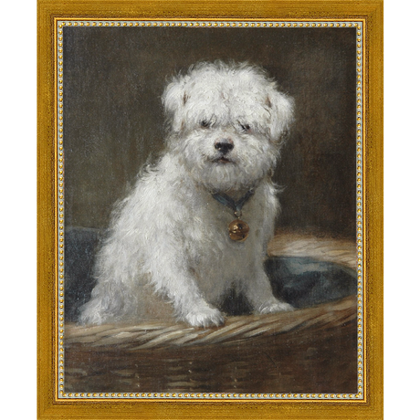 SA083-WHITE PUPPY Hand framed in a transitional gold frame. Finished Size: W 9.25 in x H 11.25 in