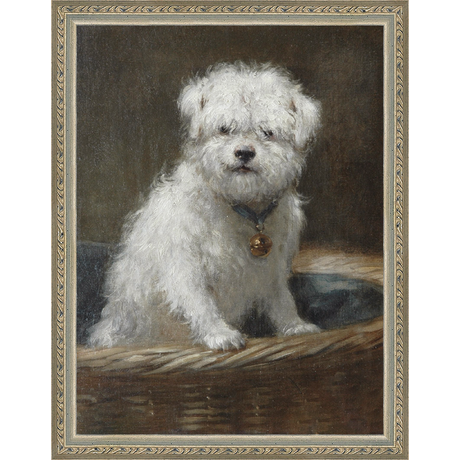 WHITE PUPPY - Kings Fine Art & Decor