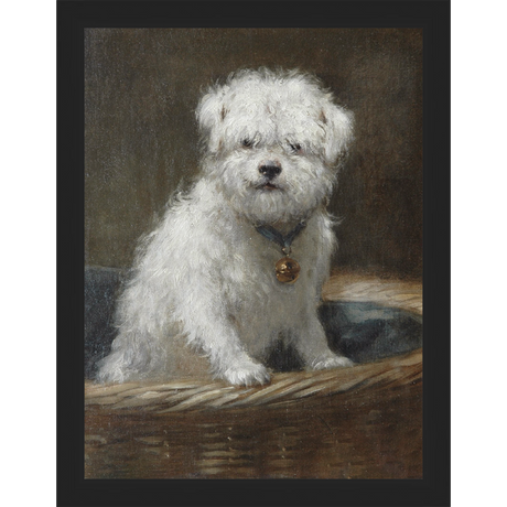 WHITE PUPPY - Kings Fine Art & Decor