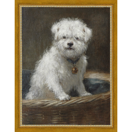 WHITE PUPPY - Kings Fine Art & Decor
