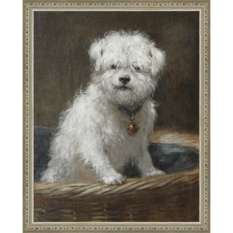 WHITE PUPPY - Kings Fine Art & Decor