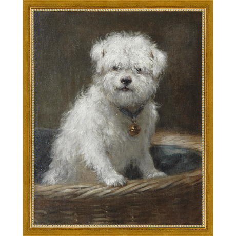 WHITE PUPPY - Kings Fine Art & Decor