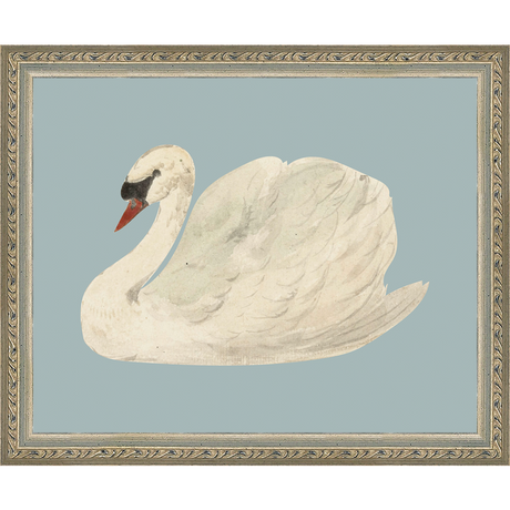 SWAN ON BLUE FIELD - Kings Fine Art & Decor