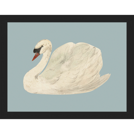 SWAN ON BLUE FIELD - Kings Fine Art & Decor