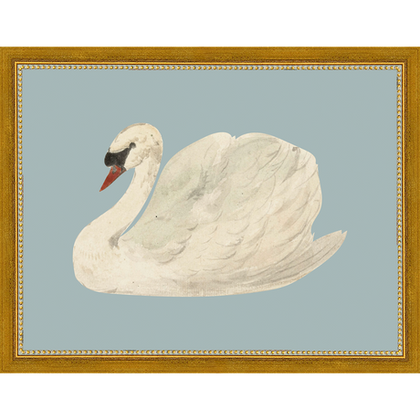 SWAN ON BLUE FIELD - Kings Fine Art & Decor
